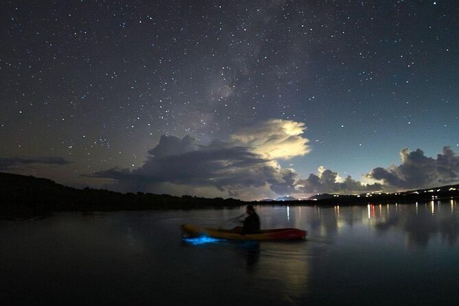 Biobay Vieques Tour Kayak Night Tour - What Your Guide Adds: Stars, Planets, and Ecosystem Talk