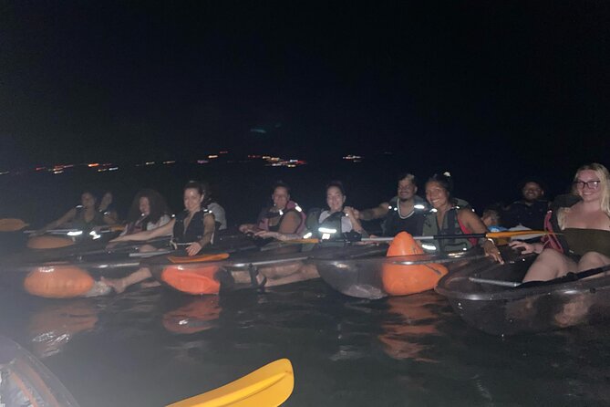 Biobay Vieques Tour Kayak Night Tour - The Big Practical Consideration: Ferry Timing and the Limited Return Ride