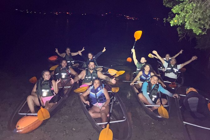 Biobay Vieques Tour Kayak Night Tour - Price and What $60 Buys You in Vieques
