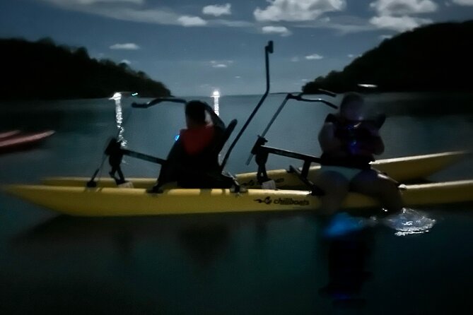 Bioluminescent Bay Chiliboats Waterbike Tour in La Parguera - Stop time at the Phosphorescent Bay: what you’ll see when the dinoflagellates turn on