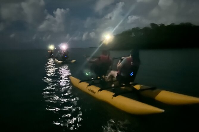 Bioluminescent Bay Chiliboats Waterbike Tour in La Parguera - Safety rules that protect you and the reserve