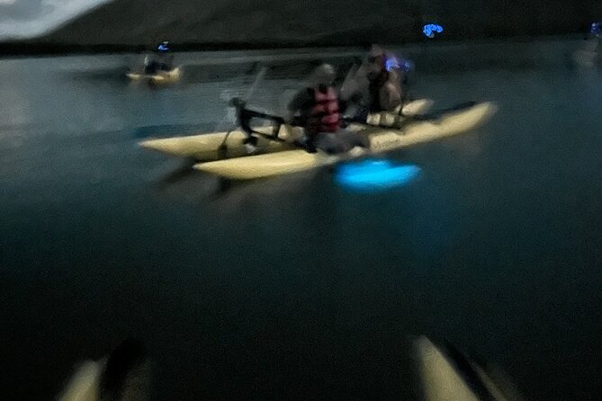 Bioluminescent Bay Chiliboats Waterbike Tour in La Parguera - Who this tour fits best, and who should think twice