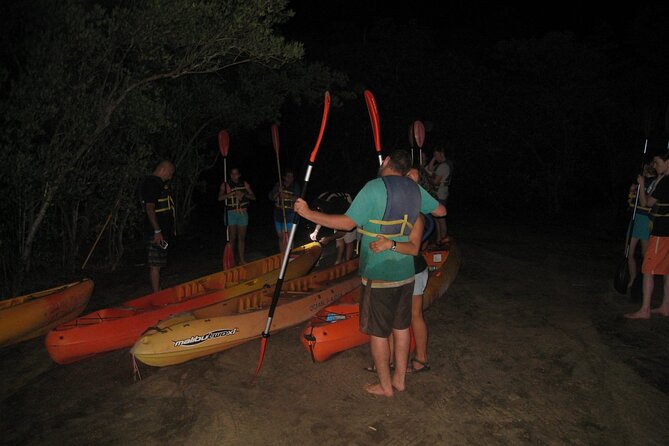 Bioluminescent Bay Kayak Trip from Vieques - Key things I’d circle before you book