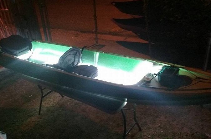 Bioluminescent Bay Kayak Trip from Vieques - The Mud, Mangroves, and Getting Wet: A Real-World Reality Check