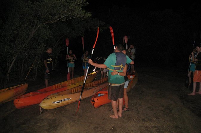 Bioluminescent Bay Kayak Trip from Vieques - Safety and Group Control: Mostly Positive, Worth Reading Closely