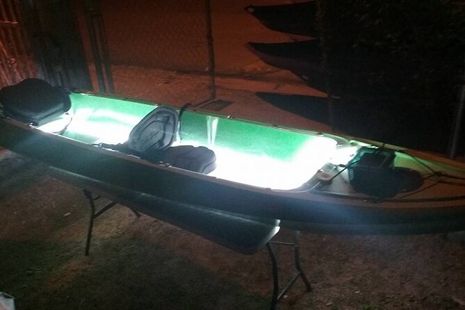 Bioluminescent Bay Kayak Trip from Vieques - Quick Logistics You Should Plan Before You Leave Home