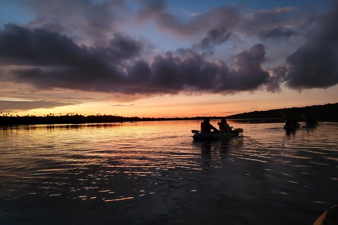 Bioluminescent Bay Night Kayaking Adventure in Puerto Rico - Key Highlights You Should Care About