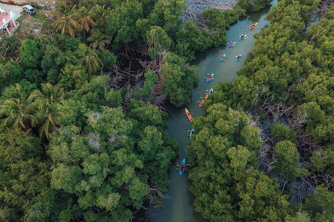 Bioluminescent Bay Night Kayaking Adventure in Puerto Rico - Congestion on the Water, a Factor You Can’t Ignore