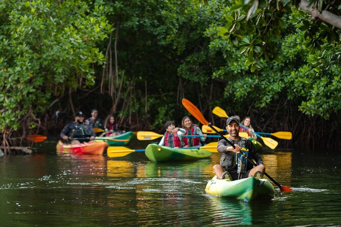 Bioluminescent Bay Night Kayaking Adventure in Puerto Rico - Price and Value: Is $80 Worth It?