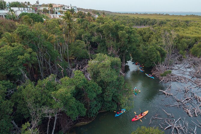 Bioluminescent Bay Night Kayaking Adventure in Puerto Rico - What to Bring So You Don’t Hate the Night