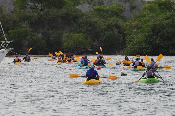 Bioluminescent Bay Night Kayaking, Fajardo - Bioluminescent Bay Night Kayaking in Fajardo: What Makes It Special