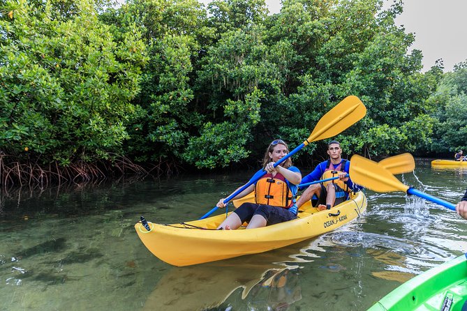 Bioluminescent Bay Night Kayaking, Fajardo - Price and Logistics: Is $79 a Good Value?