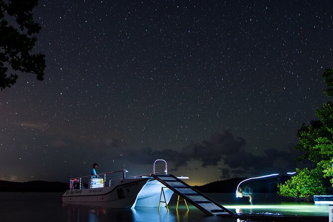 Bioluminescent Boat Tour in Mosquito Bay, Vieques - Key things to know before you go