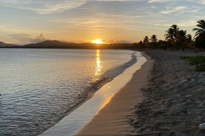 Bioluminescent Boat Tour in Mosquito Bay, Vieques - Mosquito Bay Glow, Done by Boat (and Not by Paddling)