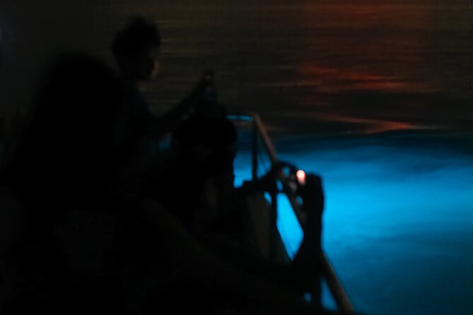 Bioluminescent Boat Tour in Mosquito Bay, Vieques - Boarding and Safety: Life Jackets, Climate Control, and a Real Ramp