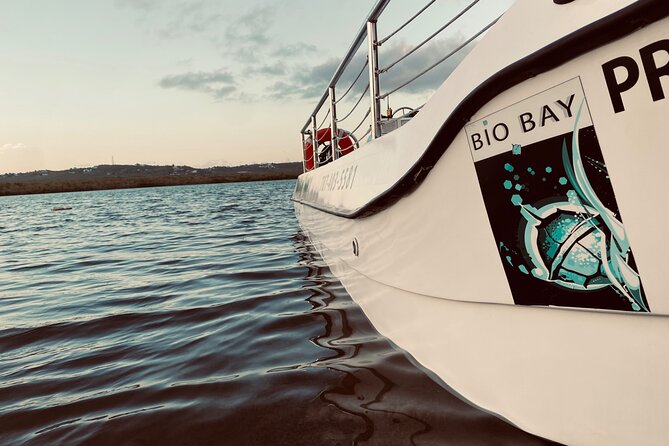 Bioluminescent Boat Tour in Mosquito Bay, Vieques - How You See the Glow Up Close Without Getting Wet