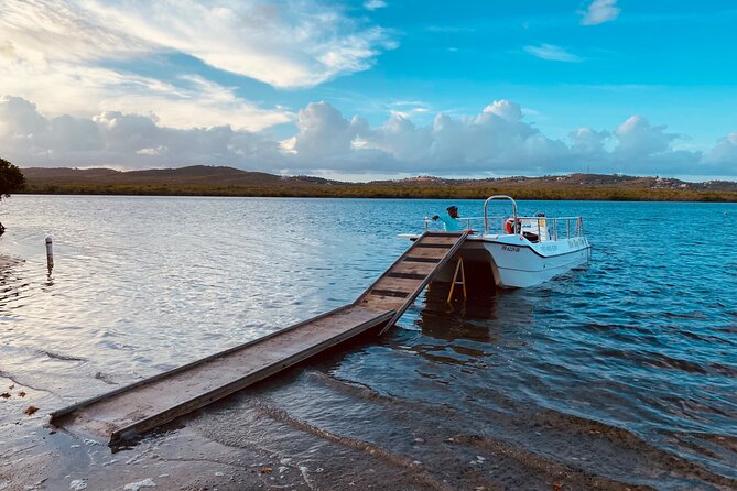 Bioluminescent Boat Tour in Mosquito Bay, Vieques - New Moon Timing and the Night Sky Bonus