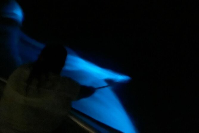 Bioluminescent Boat Tour in Mosquito Bay, Vieques - Price and Value: $100 for the Glow, Not the Gear