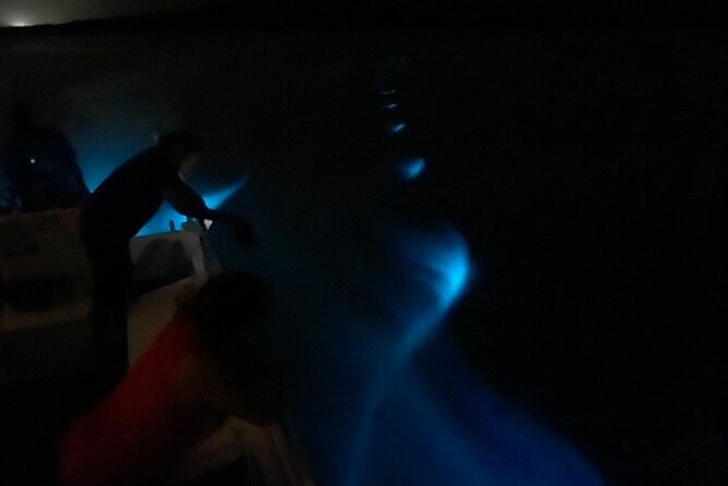 Bioluminescent Boat Tour in Mosquito Bay, Vieques - Logistics That Can Make or Break Your Night