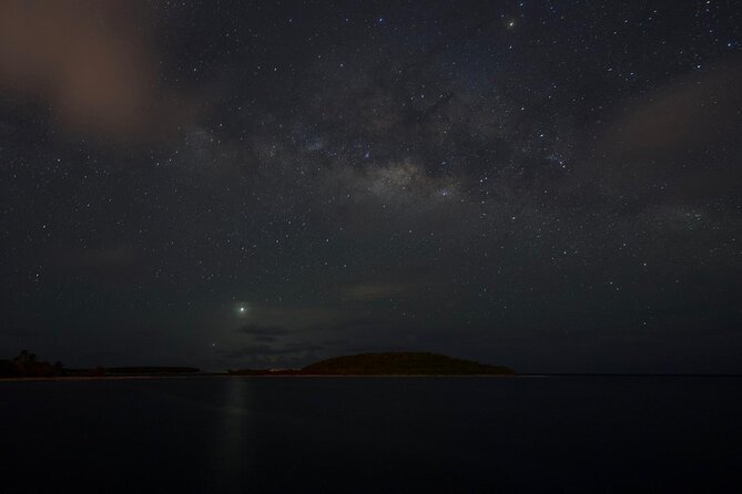 Bioluminescent Boat Tour in Mosquito Bay, Vieques - The 40-Minute Plan That Leaves Your Night Open