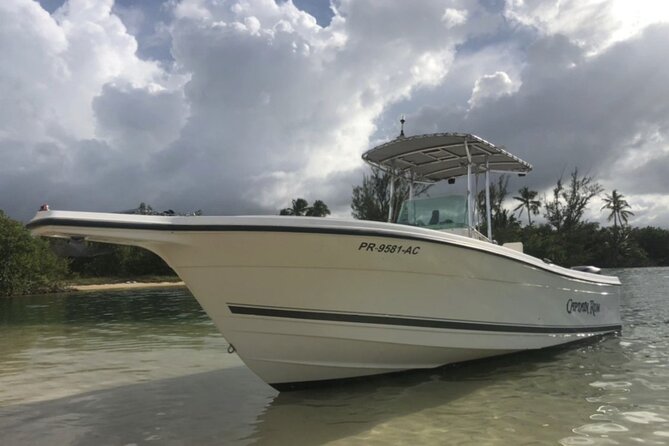 Boat trip in palomino /icacos /fajardo Puerto Rico - Private 5-hour boat time from Fajardo, up to 6 people