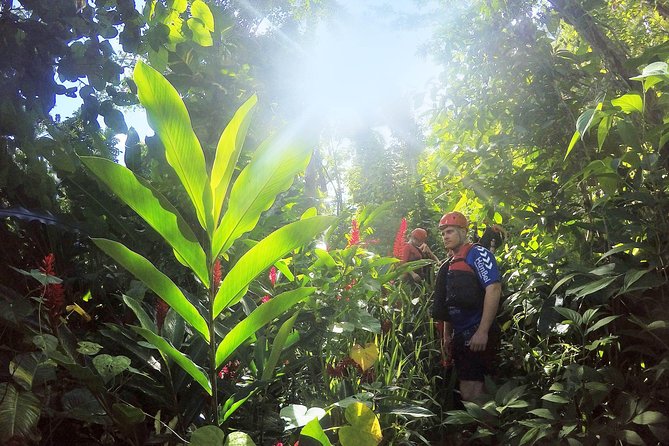 Body Rafting™ & Caving in a Natural Sanctuary - Body Rafting in Puerto Rico: Canyons, Rocks, and the Cold-Water Welcome