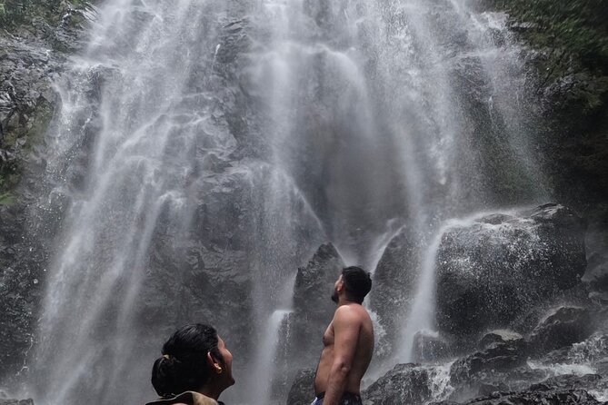 Chase Waterfalls - Discover a hidden 180ft rainforest gem - Key Highlights You’ll Actually Care About