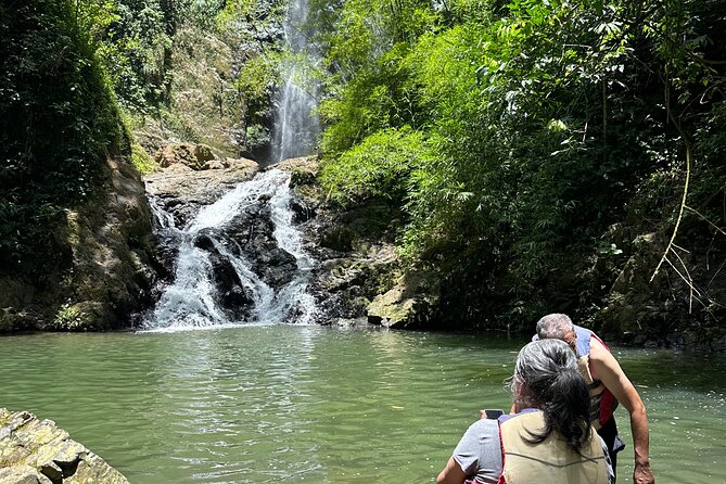 Chase Waterfalls - Discover a hidden 180ft rainforest gem - The 60m (180ft) Waterfall Moment: Fruit, Swimming, and Photos