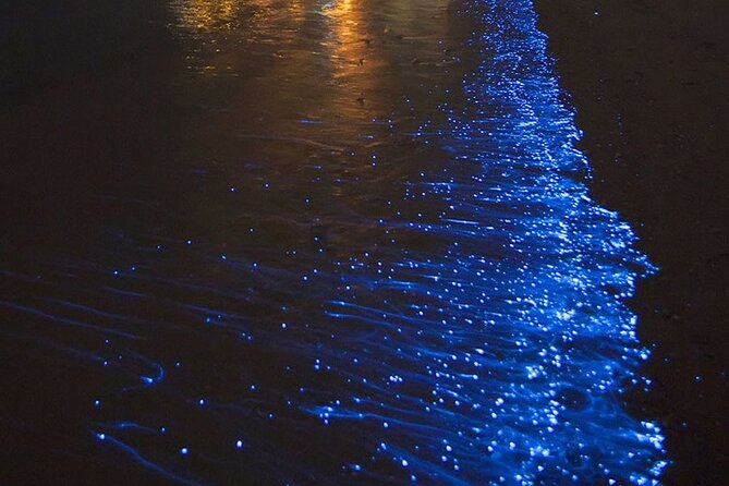 CLEAR BOTTOM KAYAKS Tour in Bioluminescent, Mosquito Bay - Key points before you go
