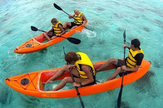 CLEAR BOTTOM KAYAKS Tour in Bioluminescent, Mosquito Bay - Mosquito Bay at night: what makes this kayak tour special