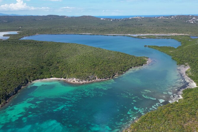 CLEAR BOTTOM KAYAKS Tour in Bioluminescent, Mosquito Bay - Clear-bottom kayaks: why the view feels different here