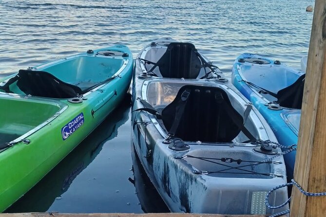 CLEAR BOTTOM KAYAKS Tour in Bioluminescent, Mosquito Bay - Full moon closures, moon brightness, and why timing can change the glow