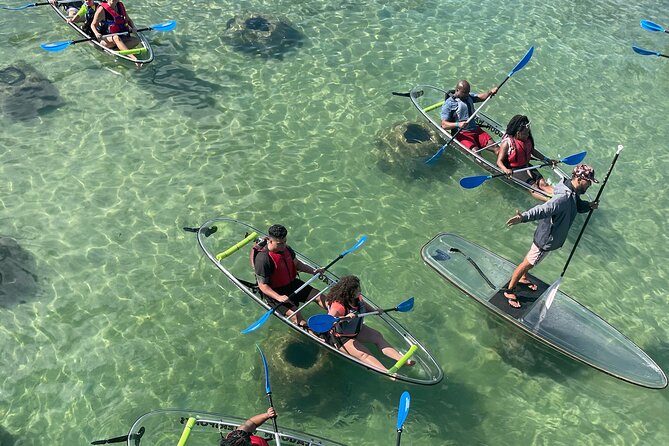 Clear Kayak Tour in Condado Lagoon - Key Things You’ll Notice on This Condado Lagoon Kayak Trip