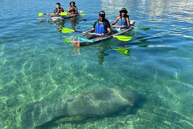 Clear Kayak Tour in Condado Lagoon - Getting to Condado Ocean Club and What Happens Before You Launch