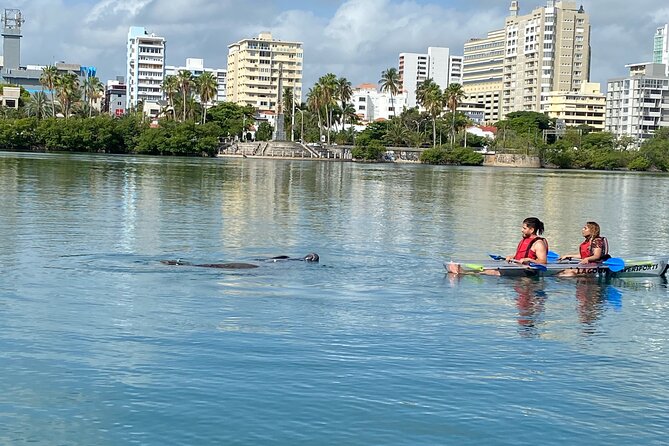 Clear Kayak Tour in Condado Lagoon - The Guides: Local Stories, Eco Lessons, and Photo Help