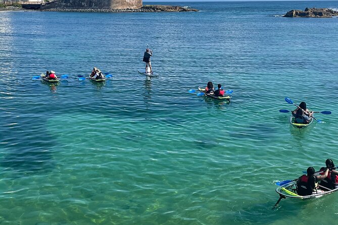 Clear Kayak Tour in Condado Lagoon - What to Bring (and How to Dress for a Lagoon Morning)