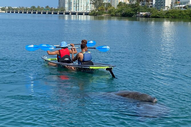 Clear Kayak Tour in Condado Lagoon - Price and Value at $59: What You Actually Get