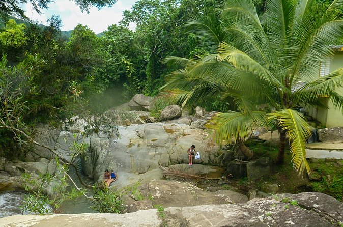Coffee Plantation and River with Waterfalls in Puerto Rico - Price and Value: What Your $120 Ticket Really Covers