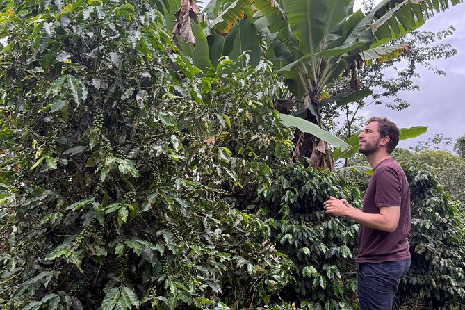Coffee & Waterfalls Tour: from the mountains to the cup - Stop 5: Toro Negro State Forest, Puerto Rico’s Tallest Rainforest Zone