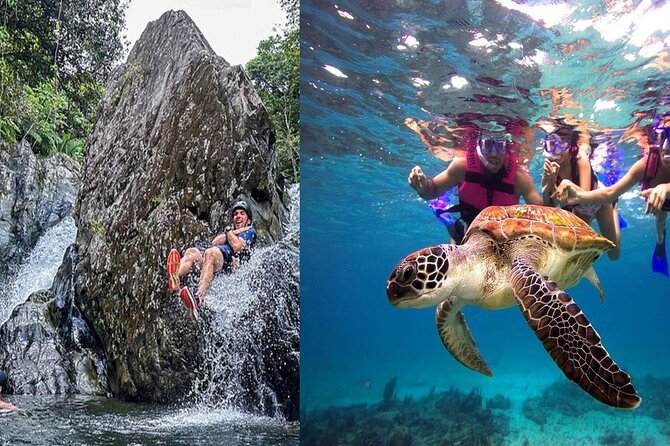 Combo El Yunque Rainforest and San Juan Snorkeling with Transport - Key things that make this El Yunque plus San Juan snorkeling day work