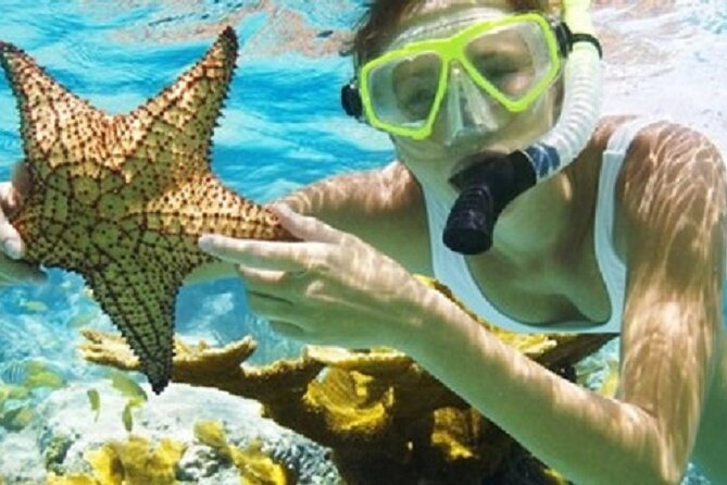 Combo El Yunque Rainforest and San Juan Snorkeling with Transport - El Yunque National Forest: moderate hike, waterfalls, and choose-your-adventure river time