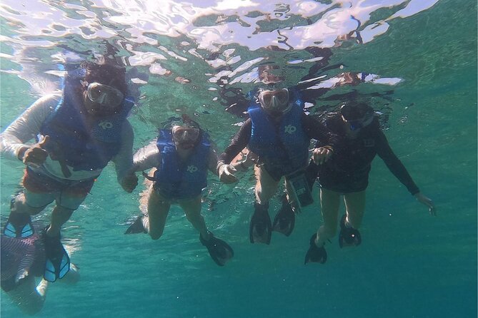 Coral Reef and Sea Turtle Snorkeling Experience - Key highlights you should care about