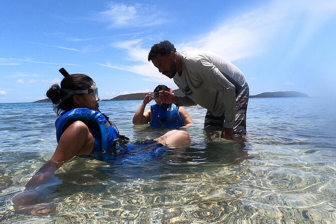 Coral Reef and Sea Turtle Snorkeling Experience - What the 3 hours feel like in real life
