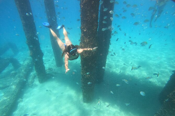 Coral Reef Snorkel Adventure with Photos and Videos - Key things to know before you go
