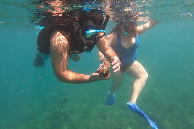 Coral Reef Snorkel Adventure with Photos and Videos - What the 90 minutes actually feels like, step by step