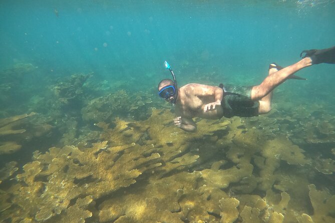 Coral Reef Snorkel Adventure with Photos and Videos - Photos and videos after the tour, how to make sure you get great memories