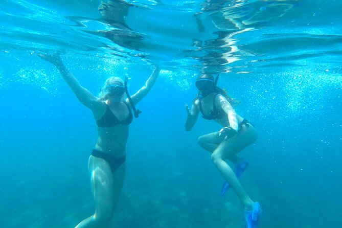 Coral Reef Snorkel Adventure with Photos and Videos - Gear, comfort, and pace: what to expect in the water