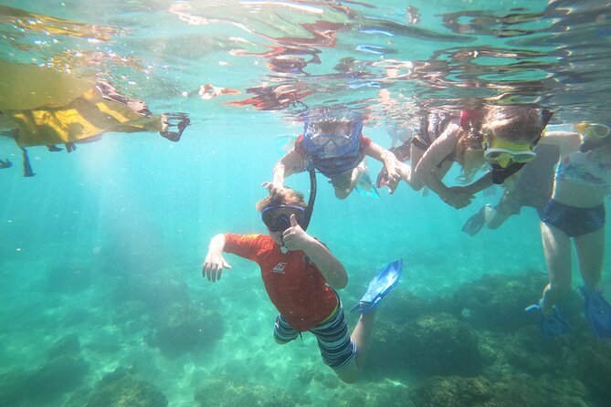 Coral Reef Snorkel Adventure with Photos and Videos - Price and value: is $50 worth it in real-world terms?