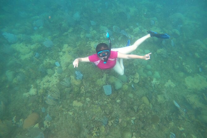Coral Reef Snorkel Adventure with Photos and Videos - Who should book this snorkeling tour, and who might prefer a different day