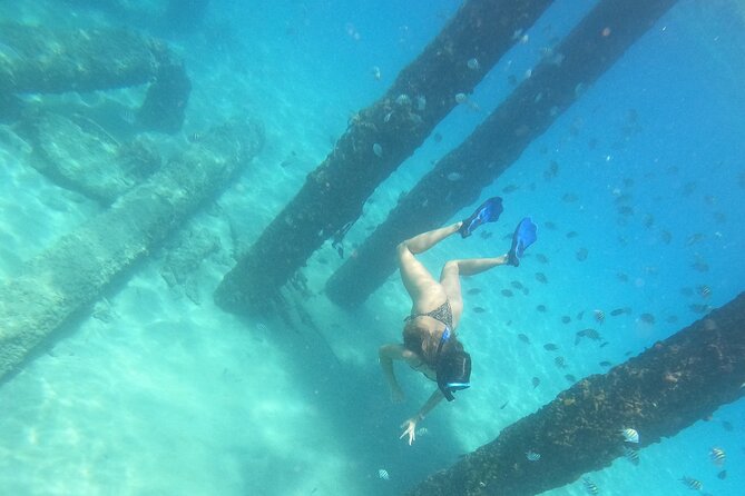 Coral Reef Snorkel Adventure with Photos and Videos - The best sightings to look for (and where guides help)